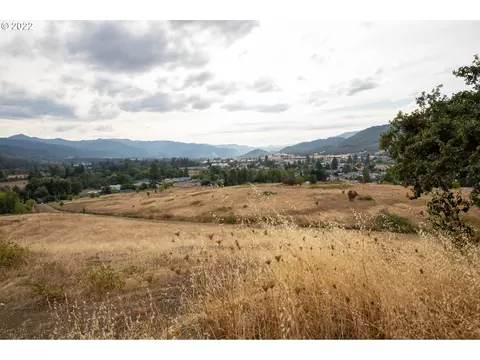0 Second Ave, Riddle, OR 97469 photo 6