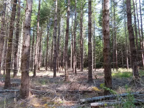Chandler Rd, Pe Ell, WA 98572