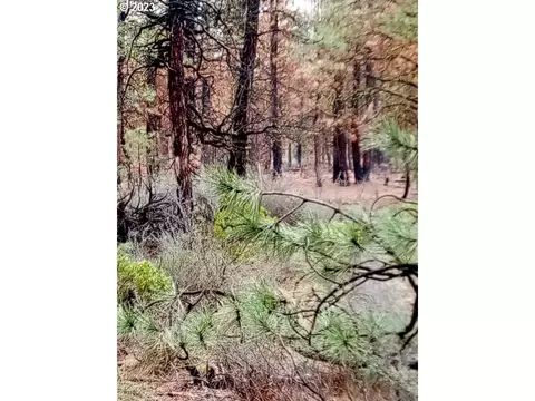 1 Forest Rd 9715, Chiloquin, OR 97624 photo 17
