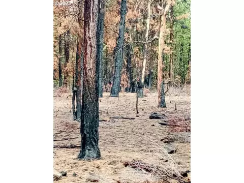1 Forest Rd 9715, Chiloquin, OR 97624 photo 25