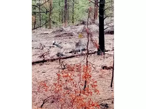1 Forest Rd 9715, Chiloquin, OR 97624 photo 4