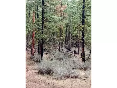 1 Forest Rd 9715, Chiloquin, OR 97624 photo 31