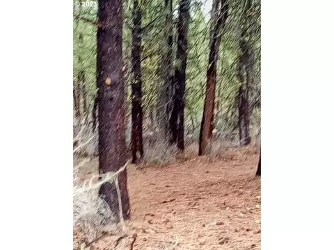 1 Forest Rd 9715, Chiloquin, OR 97624 photo 28