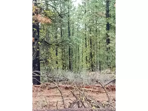 1 Forest Rd 9715, Chiloquin, OR 97624 photo 15