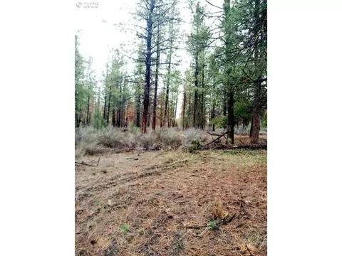 1 Forest Rd 9715, Chiloquin, OR 97624