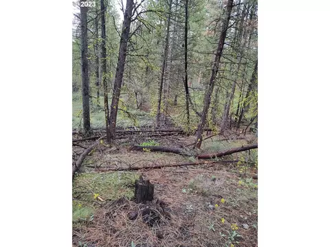 1 Forest Rd 9715, Chiloquin, OR 97624 photo 3