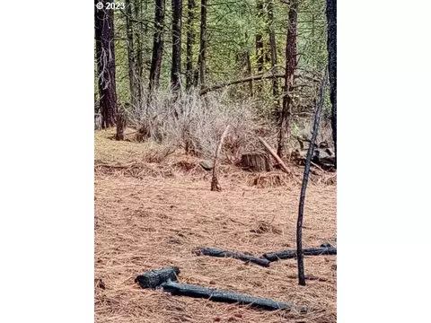 1 Forest Rd 9715, Chiloquin, OR 97624 photo 18