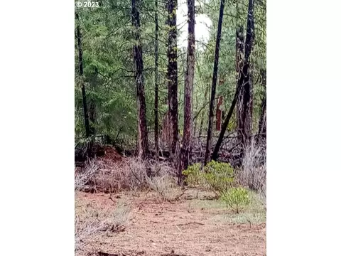 1 Forest Rd 9715, Chiloquin, OR 97624 photo 12