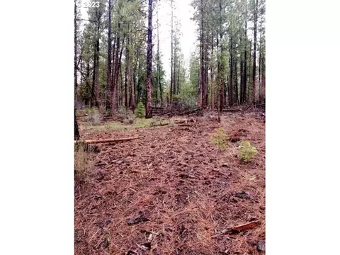 1 Forest Rd 9715, Chiloquin, OR 97624 photo 9