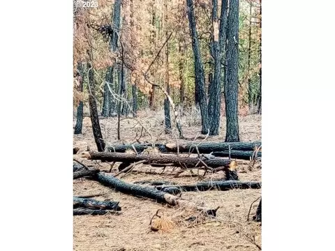 1 Forest Rd 9715, Chiloquin, OR 97624 photo 21