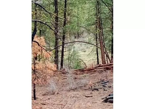 1 Forest Rd 9715, Chiloquin, OR 97624 photo 13