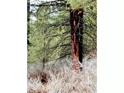 1 Forest Rd 9715, Chiloquin, OR 97624 photo 30