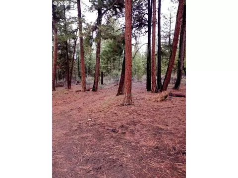 1 Forest Rd 9715, Chiloquin, OR 97624 photo 8