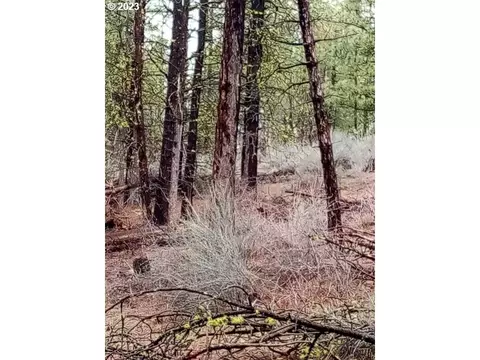 1 Forest Rd 9715, Chiloquin, OR 97624 photo 27