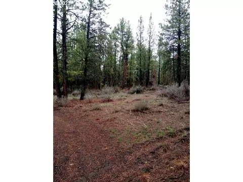 1 Forest Rd 9715, Chiloquin, OR 97624 photo 5