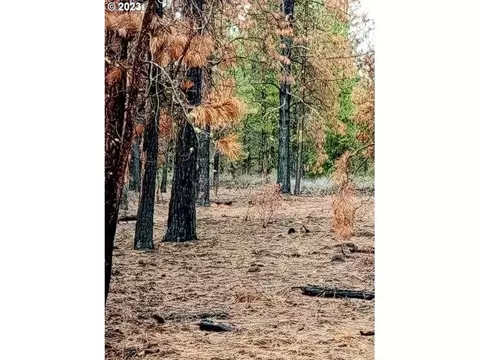1 Forest Rd 9715, Chiloquin, OR 97624 photo 24