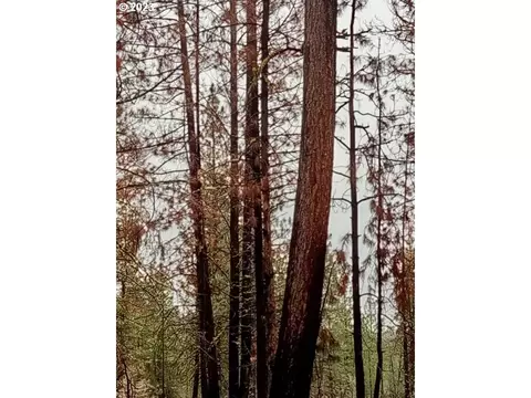 1 Forest Rd 9715, Chiloquin, OR 97624 photo 16