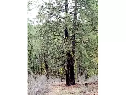 1 Forest Rd 9715, Chiloquin, OR 97624 photo 20