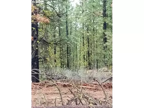 1 Forest Rd 9715, Chiloquin, OR 97624 photo 19