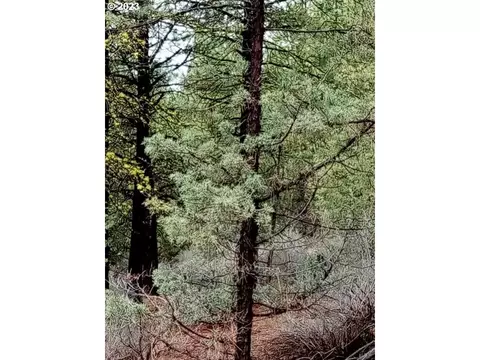 1 Forest Rd 9715, Chiloquin, OR 97624 photo 29