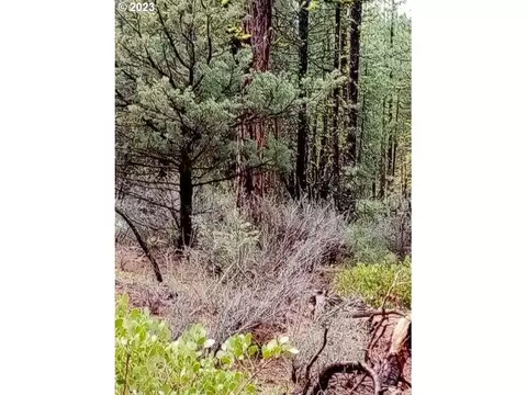 1 Forest Rd 9715, Chiloquin, OR 97624 photo 33