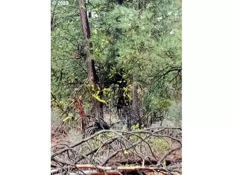 1 Forest Rd 9715, Chiloquin, OR 97624 photo 23
