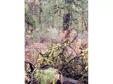 1 Forest Rd 9715, Chiloquin, OR 97624 photo 22