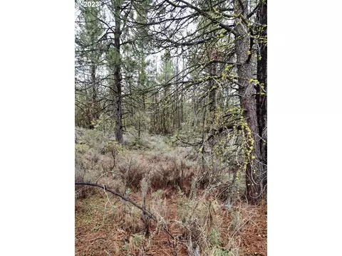 1 Forest Rd 9715, Chiloquin, OR 97624 photo 2