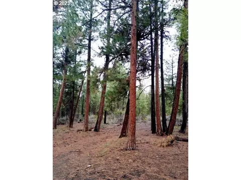 1 Forest Rd 9715, Chiloquin, OR 97624 photo 10
