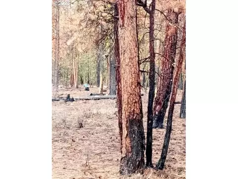 1 Forest Rd 9715, Chiloquin, OR 97624 photo 11