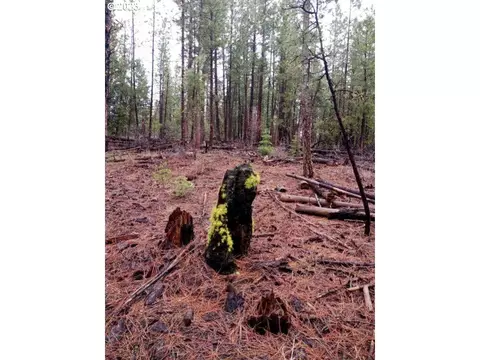 1 Forest Rd 9715, Chiloquin, OR 97624 photo 7