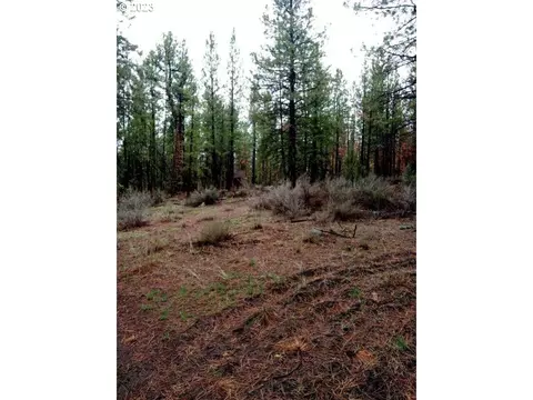 1 Forest Rd 9715, Chiloquin, OR 97624 photo 6