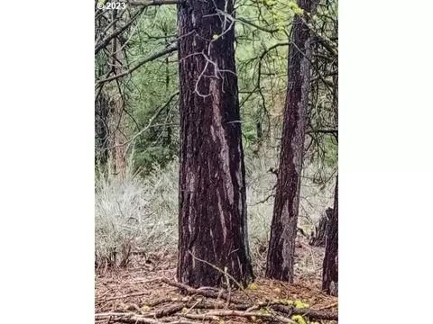 1 Forest Rd 9715, Chiloquin, OR 97624 photo 32