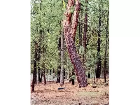 1 Forest Rd 9715, Chiloquin, OR 97624 photo 26