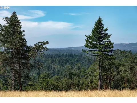 28795 SW Petes Mountain Rd, West Linn, OR 97068
