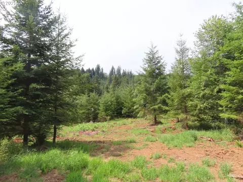 mill creek ln, Longview, WA 98632