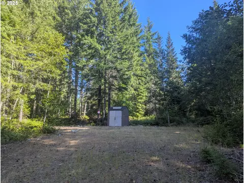 30 Nymark Dr, Cougar, WA 98616