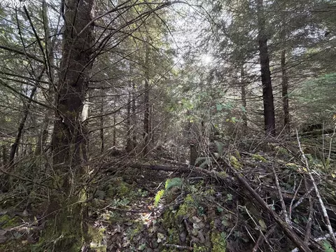 Necanicum Hwy, Seaside, OR 97138