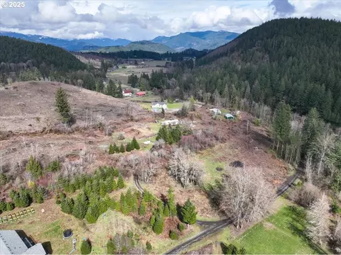 28610 NE 433rd St, Amboy, WA 98601