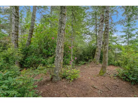 1639 Willow Loop, Florence, OR 97439 photo 10