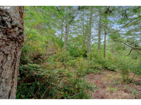1639 Willow Loop, Florence, OR 97439 photo 6