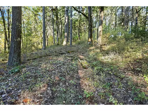 Echo Glen Rd, White Salmon, WA 98672
