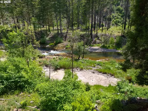 91303 Blue River Rd, Blue River, OR 97413