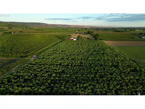 84031 Edwards Rd, Milton Freewater, OR 97862
