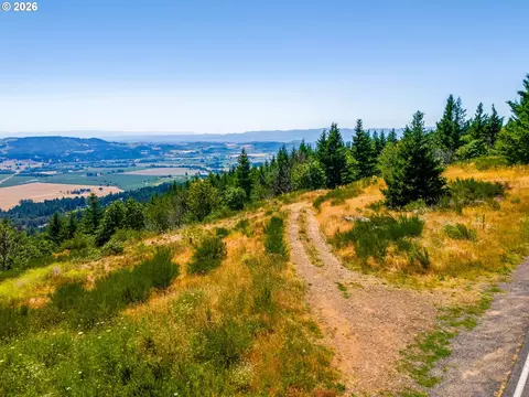 Other - Moutain Top, Newberg, OR 97132 photo 5 of 7