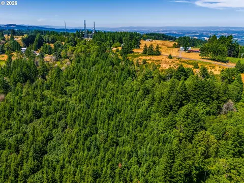View/Area - Moutain Top, Newberg, OR 97132 photo 13 of 17