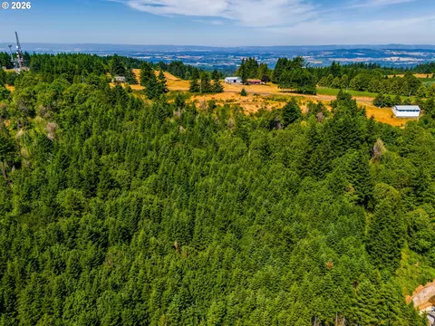 View/Area - Moutain Top, Newberg, OR 97132 photo 3 of 17