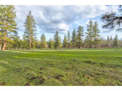 20 Greyback Mt Rd #20, Goldendale, WA 98620