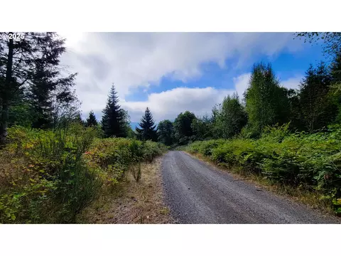 Laurel Butte, Oakridge, OR 97463