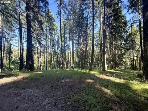 Exterior - 440 Forest Dr, Azalea, OR 97410 photo 1 of 12